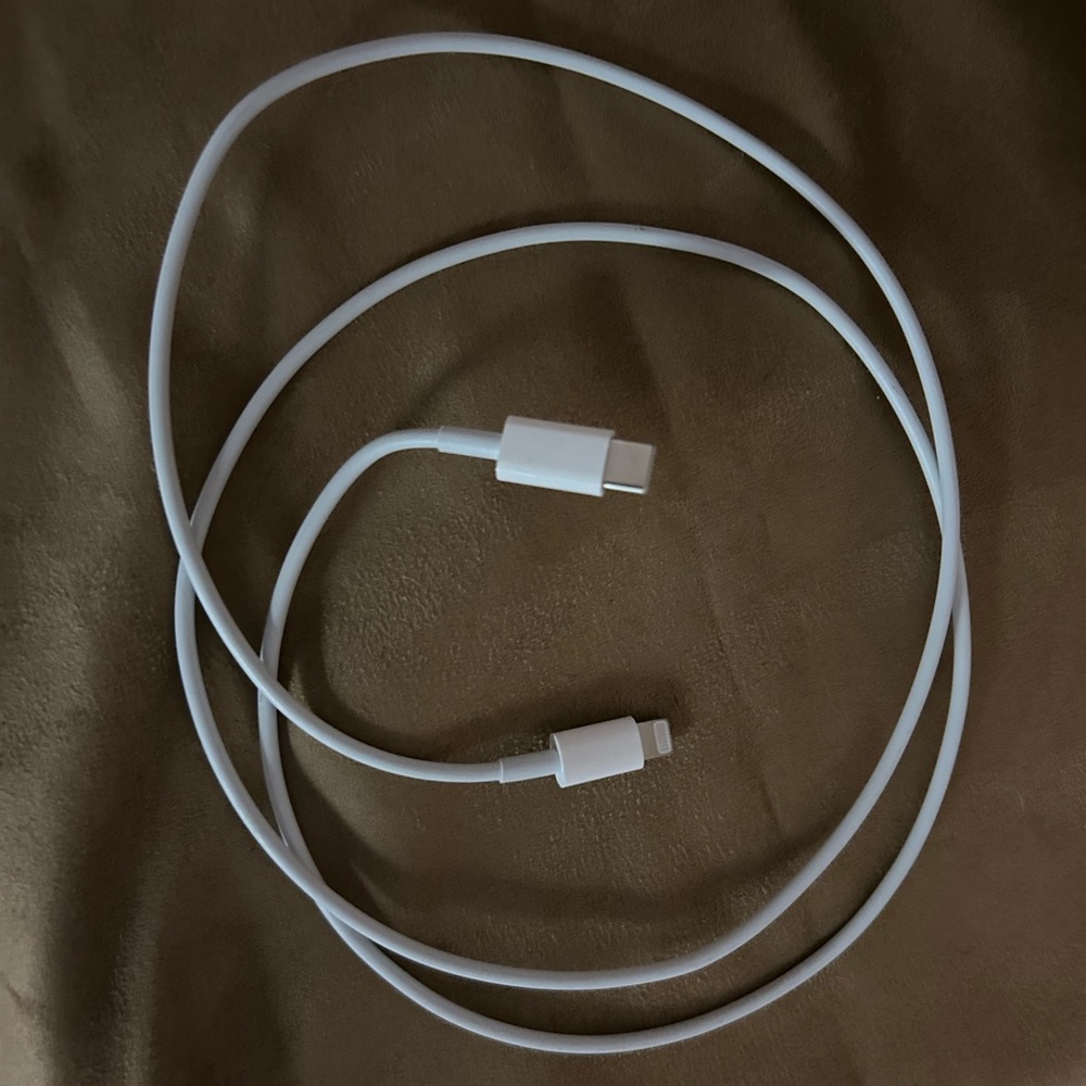 Apple lightning port cords, ear buds and converter